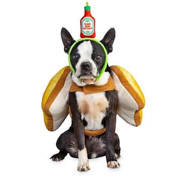 DOG 🐶 COSTUME 🎉2X HP🎉Toast of the Town Halloween - Picture 2 of 3